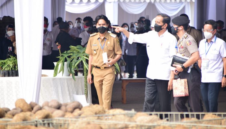 Presiden Joko Widodo Resmikan Pabrik Beras Porang PT Asia Prima Konjac – Madiun