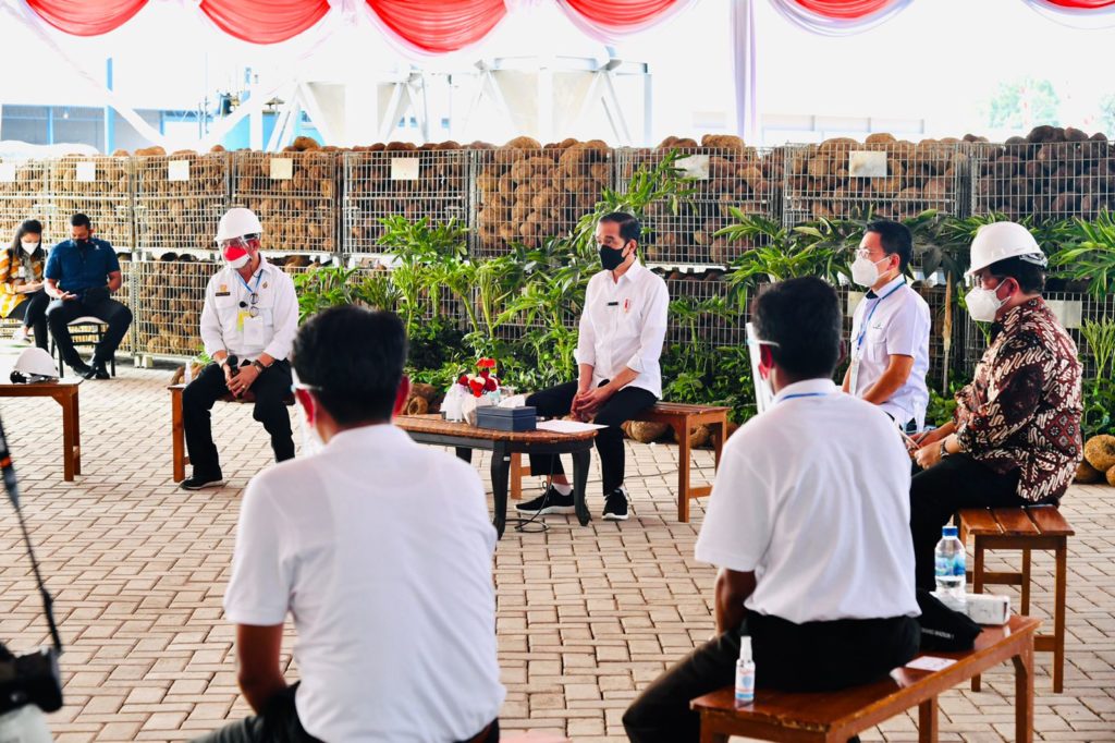 Saat Petani Milenial Cerita ke Presiden Soal Prospek Cerah Bertani Porang